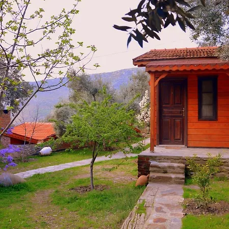 Sirincem Sakli Vadi * Selçuk
