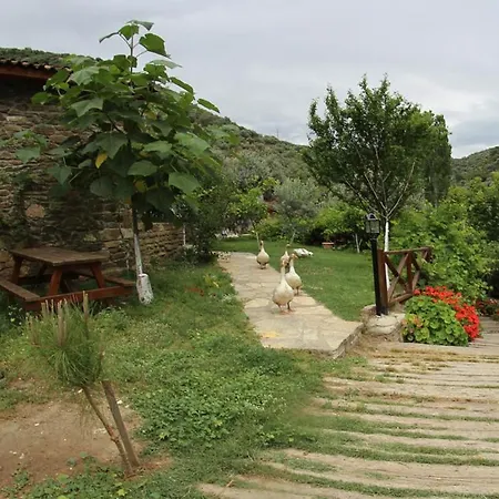 Sirincem Sakli Vadi Selçuk