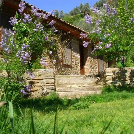 Sirincem Sakli Vadi